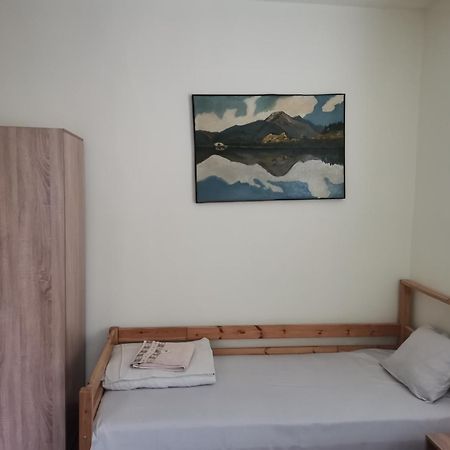 Guesthouse Tzar Asen Sofia Bagian luar foto